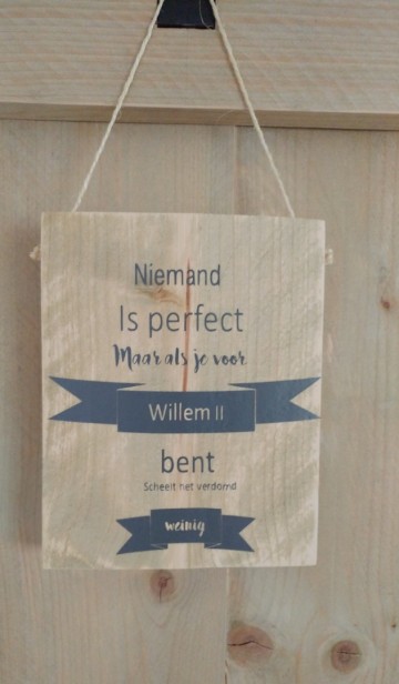 Steigerhout willem 2